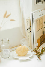 Load image into Gallery viewer, THE CALICO